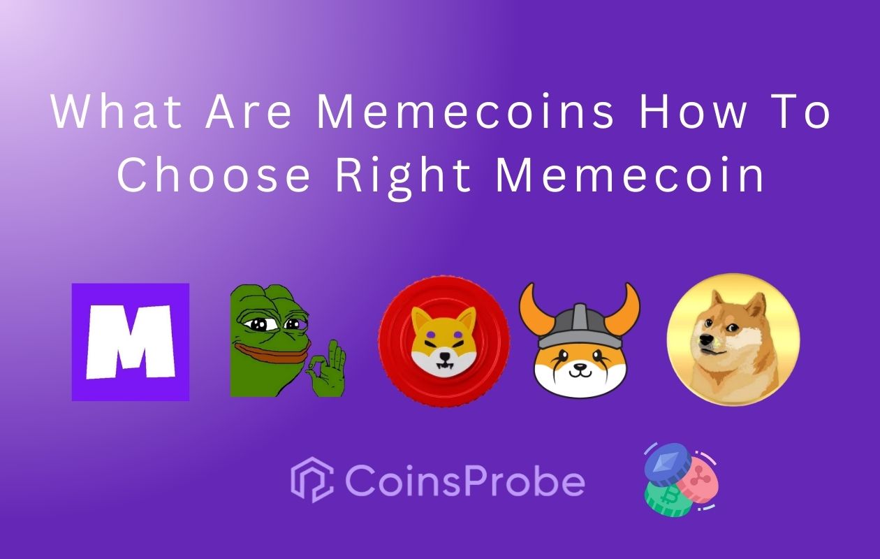 What Are Memecoins How To Choose Right Memecoin