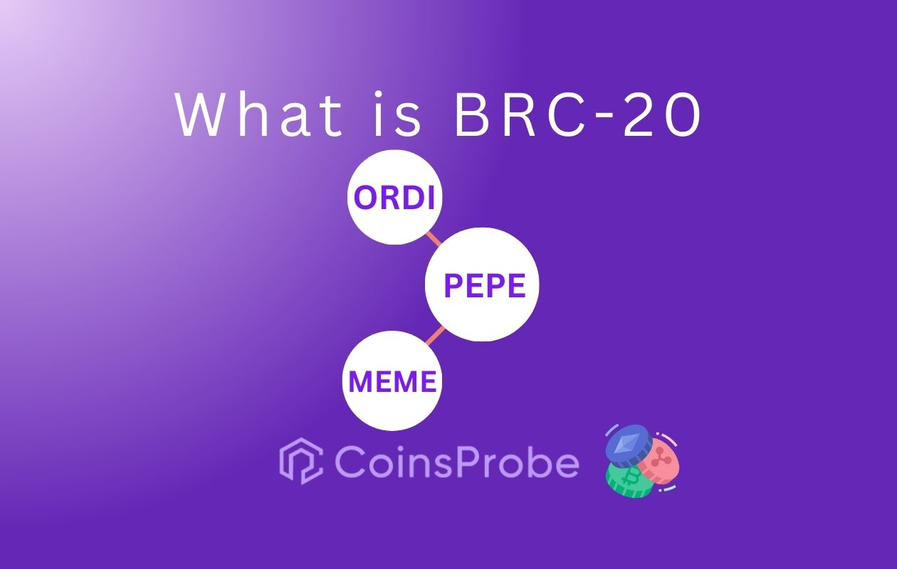 WHAT IS BRC 20