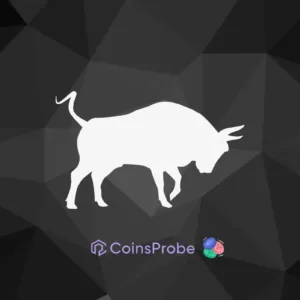 Bullish Momentum: Is Next Crypto Bullrun On The Way?