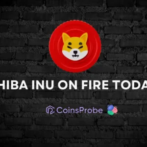 Shiba Inu (SHIB) on Fire: Know the Factors of Bullishness