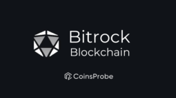 Bitrock $BROCK Cryptocurrency +5000% Gains is it the Next Big Thing