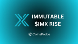 Immutable’s IMX Rise – A look at the Latest Developments