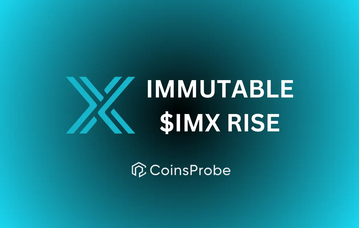 Immutable’s IMX Rise – A look at the Latest Developments