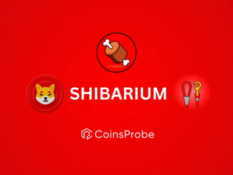 Shiba Inu’s Shibarium Focused Coins Are Ready To Explode