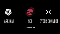 Arkham, Sei, and Cyber Token Are Surging Today. Check out the Major Connection in Between Them (1)