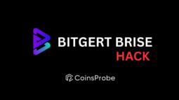 Breaking News Bitgert Brise Wallet Hacked