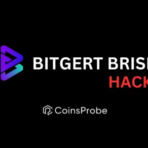 Breaking News: Bitgert Brise Wallet Hacked – What You Need to Know