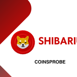 Shiba Inu Community: Be Prepared For The Bang! The Team Hinted At The Launching Week Of Shibarium