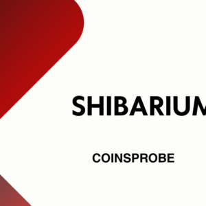 Shibarium’s Hyped Token Surges Over By Massive +300.0%