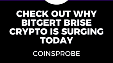 Check out Why Bitgert Brise Crypto is Surging Today