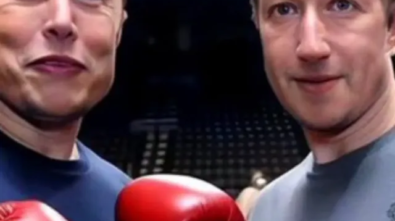 Elon Musk vs Mark Zuckerberg Cage Fight (8)