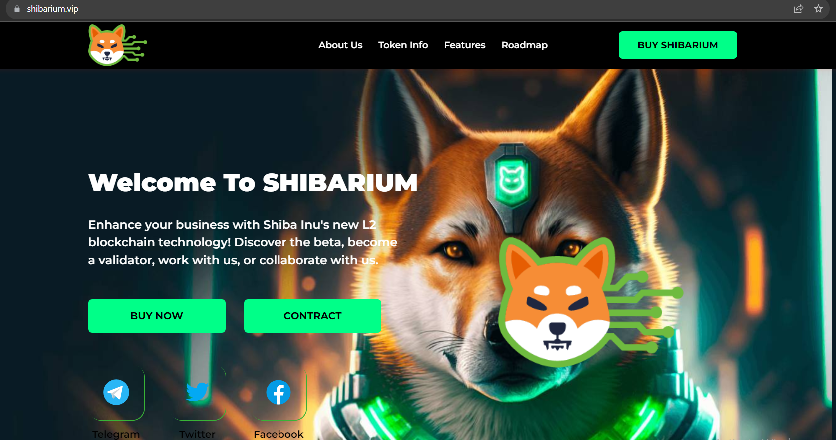 shibarium website