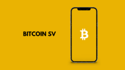 Bitcoin-SV-BSV-Becomes-The-Top-Gainer-Today-With-15-Surge-Checkout-Why-Its-Surging-Today