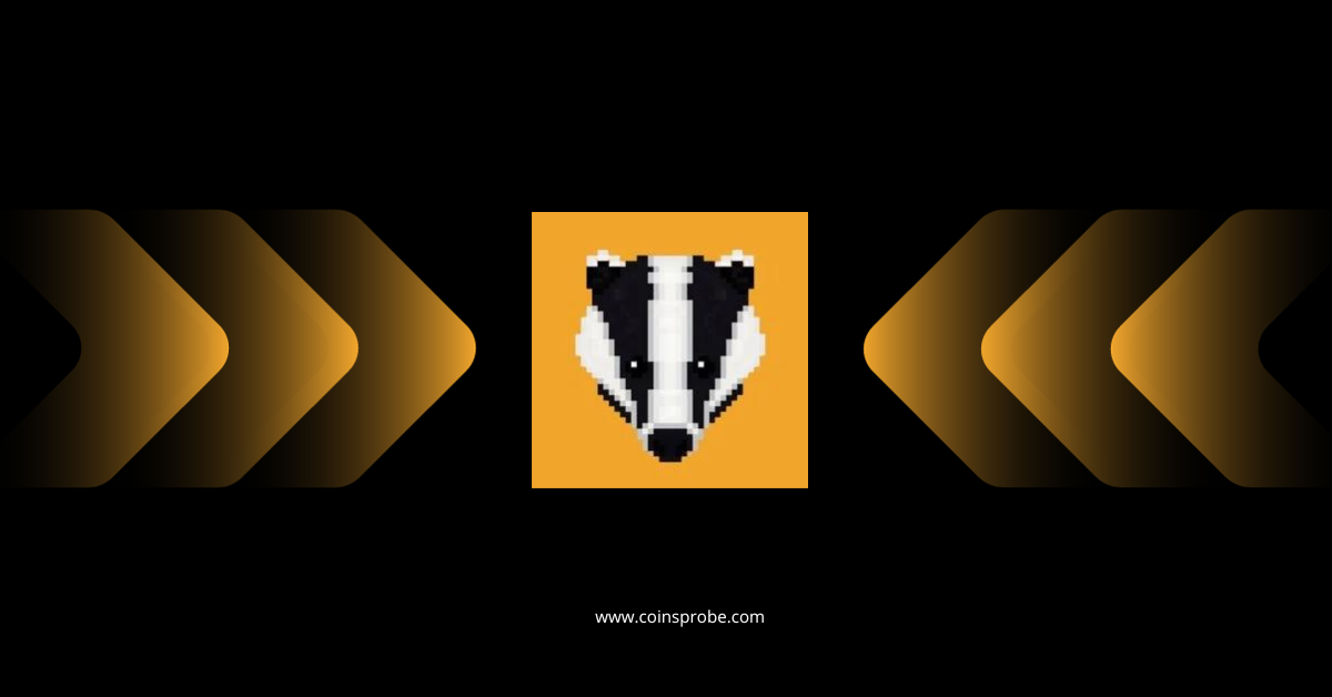 Badger-DAO-BADGER cryptocurrency