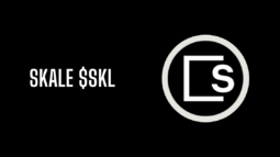 SKALE-SKL Crypto Image