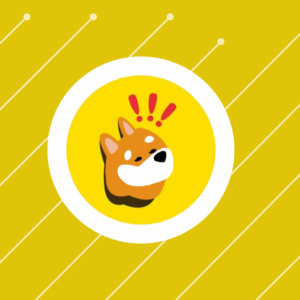 BONK Price Skyrockets, Hits a New ATH with 11X Gain in Just 30 Days, Left Shiba Inu (SHIB) and Dogecoin (DOGE) Behind