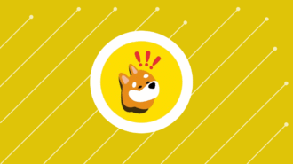 BONK Price Skyrockets, Hits a New ATH with 11X Gain in Just 30 Days, Left Shiba Inu (SHIB) and Dogecoin (DOGE) Behind