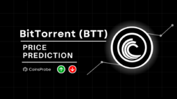 BitTorrent (BTT)