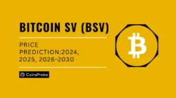 Bitcoin SV (BSV) -Cryptocurrency Logo
