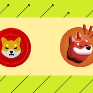 Bonk vs Shiba: Can Bonk Repeat the History Of Shiba Inu 2021