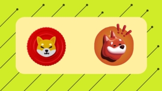 Bonk-&-Shiba Crypto Logo Image