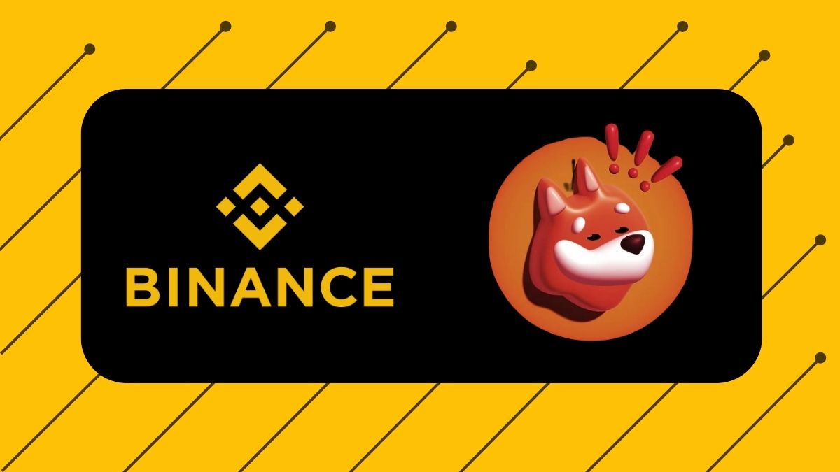 BONK Cryptocurrency logo image with Binance name