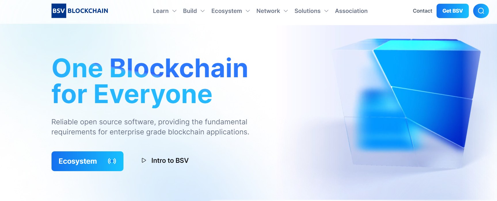 Bitcoin SV Blockchain Homepage