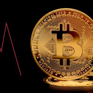 The Biggest Crypto Collapses in the History of Cryptocurrency