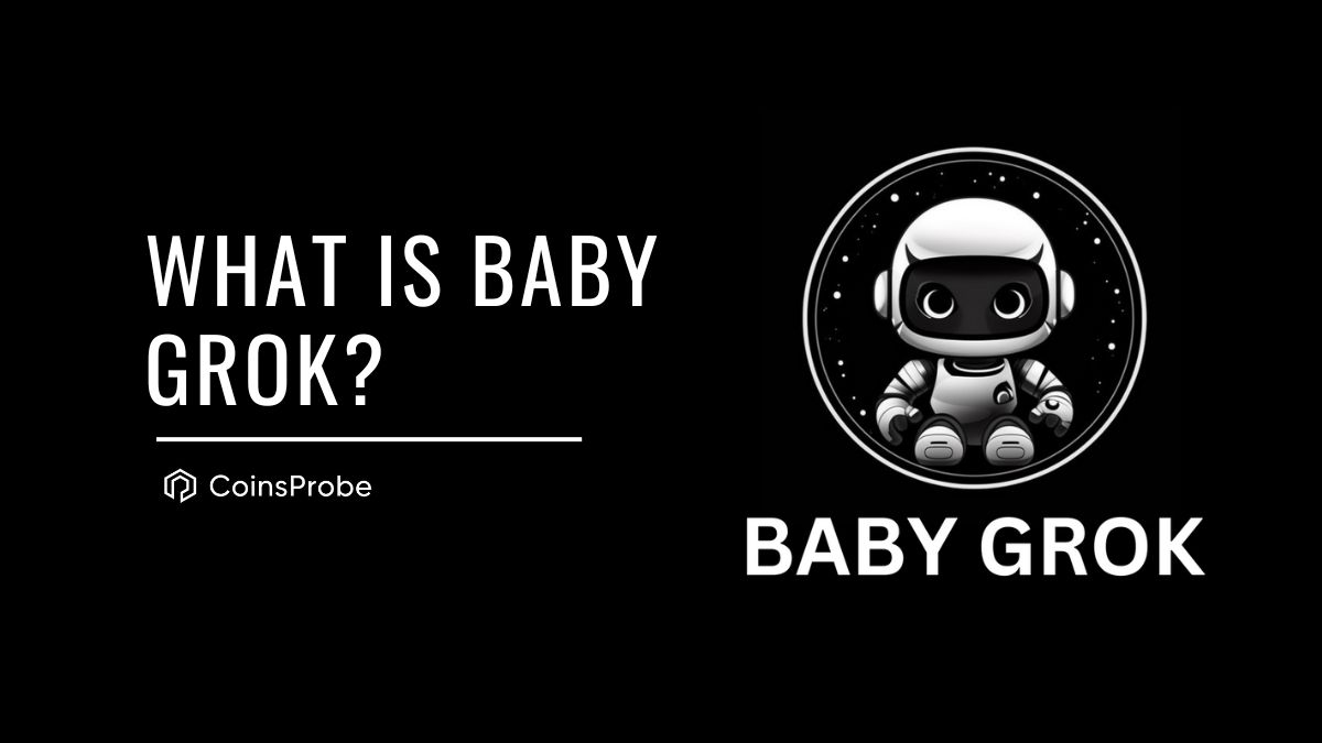 Baby Grok Cryptocurrency image