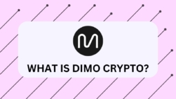 What-is-DIMO-Coin-and-How-to-Buy-It-feature image