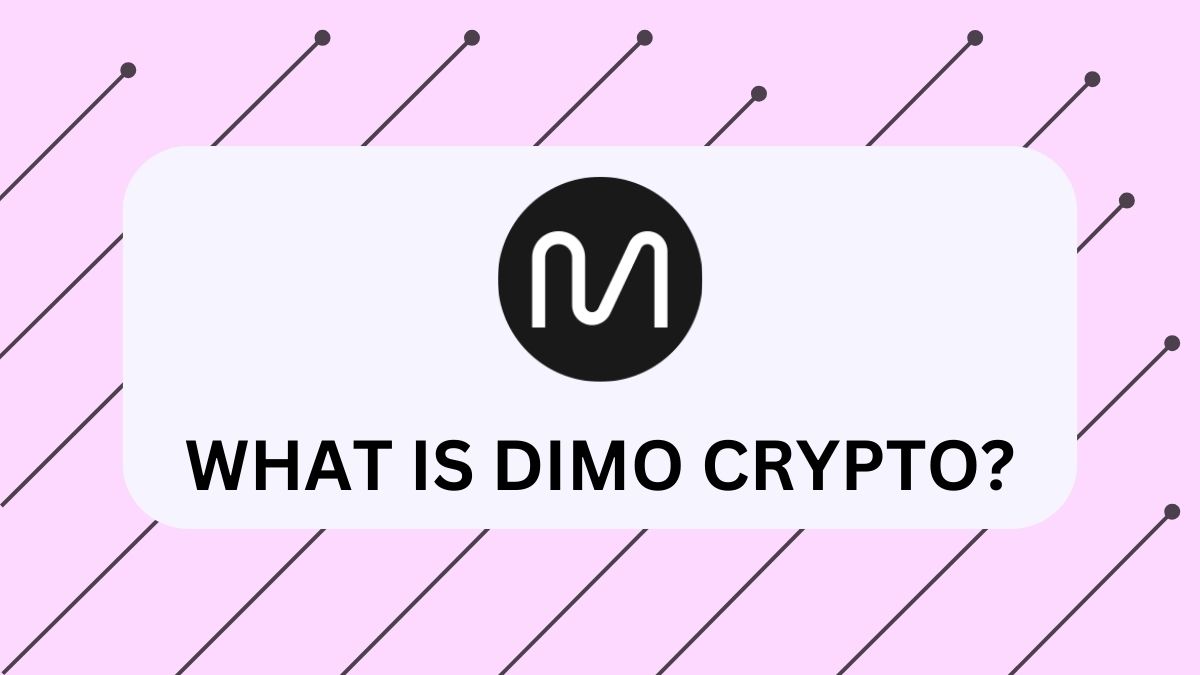What-is-DIMO-Coin-and-How-to-Buy-It-feature image