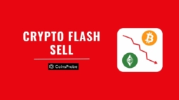 Crypto Flash Sell-Text Image