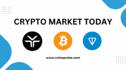 Volatility in Crypto; Bitcoin, Ethereum Falls, While DEXE, POLYX, and TON Continues to Surges