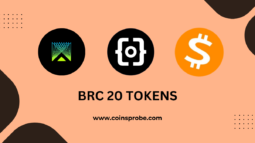 BRC 20 Tokens Logo Image