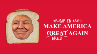 Missed out on Trump ( MAGA) TIB Token Launches on Solana to 'Make America Bread Again' – Don’t Miss Out!-Featured Image