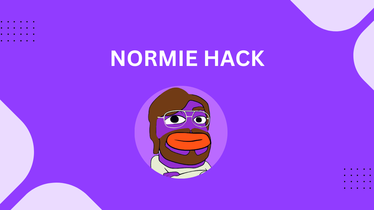 Normie Hack Investment of $1.1 Million Turns in Less Than $150- Featured Image