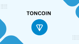 Toncoin (TON) Crypto Logo