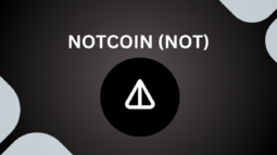Notcoin crypto coin logo