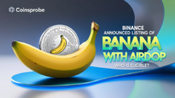 Banana Gun Binance Announcement