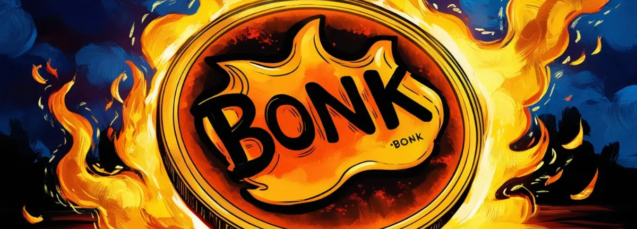 Bonk Coin