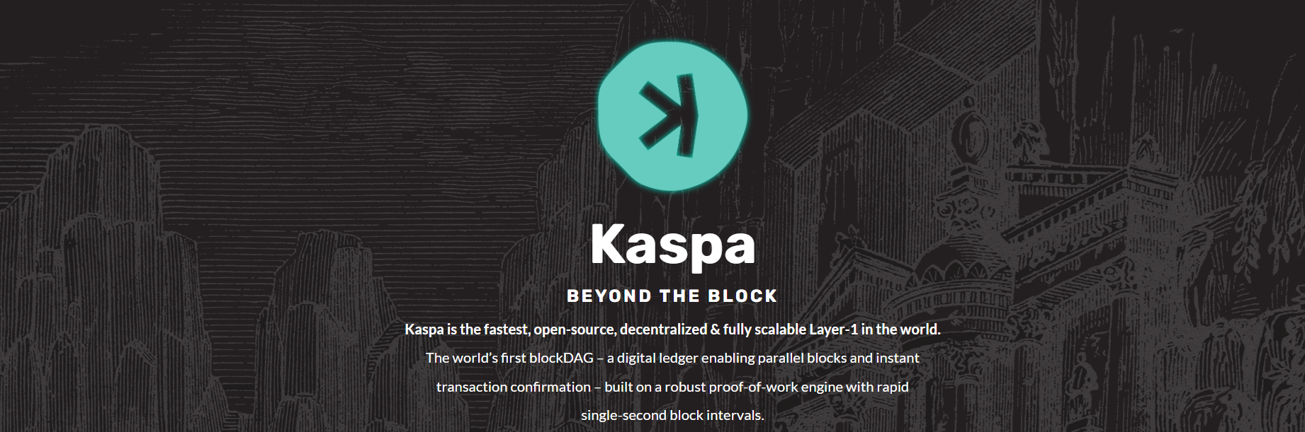 Kaspa coin homepage