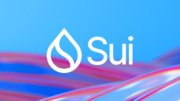 Sui Blockchain