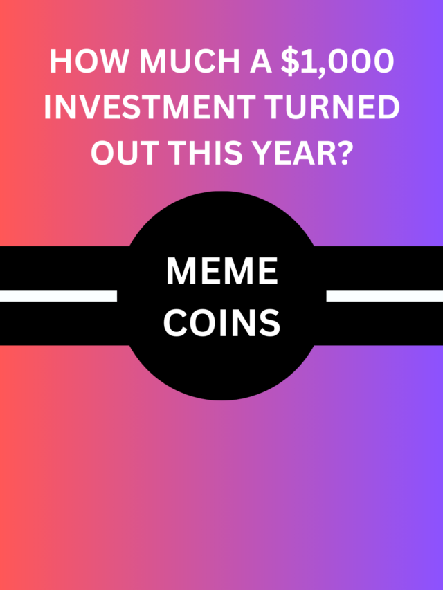 How Much a $1,000 Investment in This Memecoins Turned Out This Year