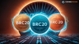 BRC-20 Tokens