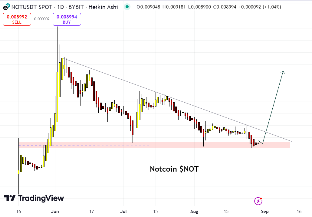 Notcoin Chart 29 August