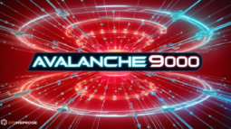 Avalanche9000