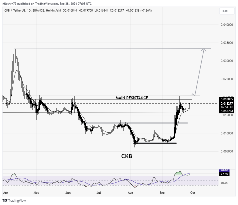 Nervos Network (CKB) Chart