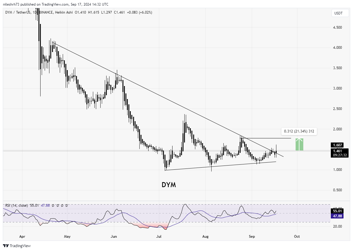 DYM Chart