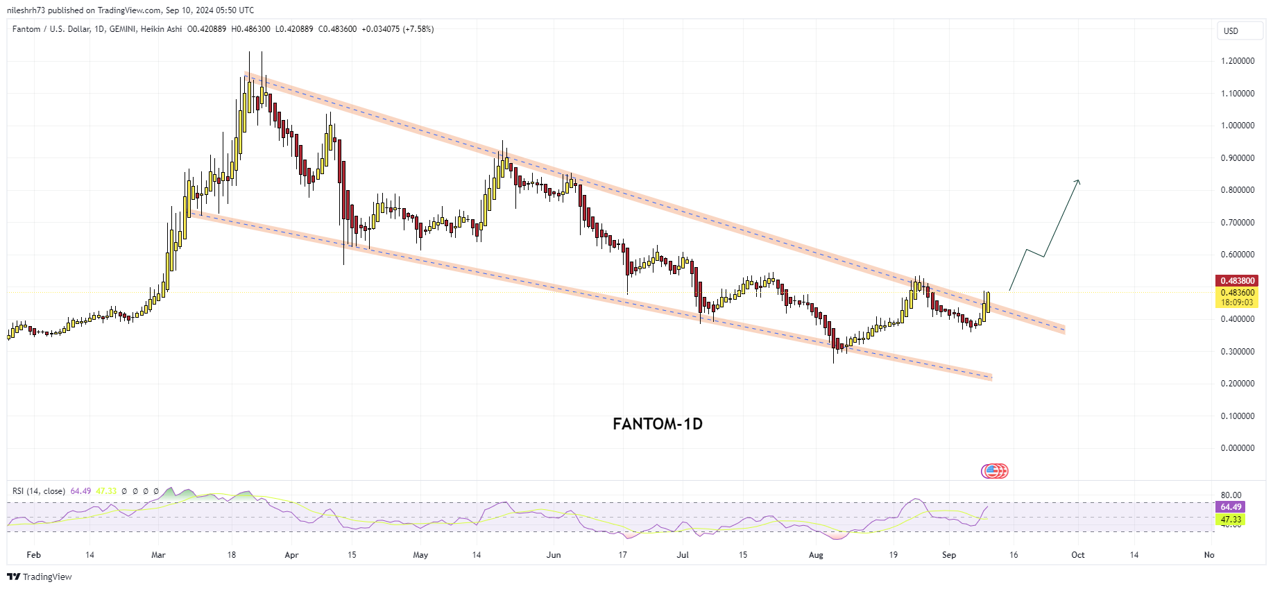 Fantom Coin Chart