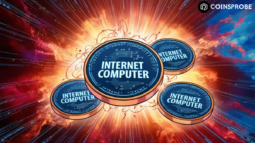 Internet Computer (ICP) TOKENS